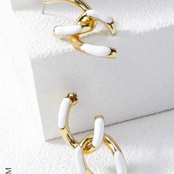 Two tone Earrings - Picture 9 of 10